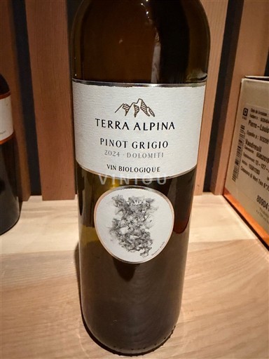 Vin Blanc sec Pinot Grigio Terra Alpina 2024 Italie Trentin-Haut-Adige DOC