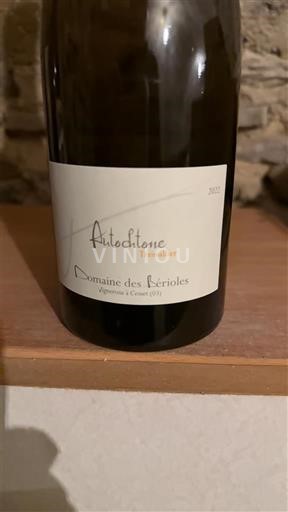 Vallée de la Loire Saint-Pourçain Domaine S Bérioles Autochtone Tressallier 2022