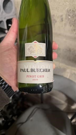 Alsace Pinot Grigio Paul Buecher 2020