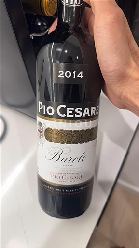 Piemonte Barolo Pio Cesare 2014