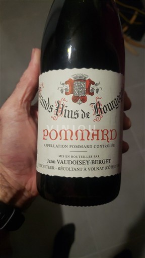 Borgoña Pommard Jean Vaudoisey-Bergey 2009