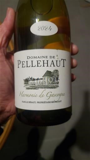 Tây Nam Côtes de Gascogne Domaine Pellehaut Harmonie de Gascogne 2024