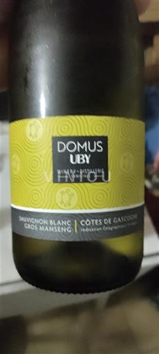 Sud-Ouest Côtes de Gascogne Domaine Uby Domus Uby 2024