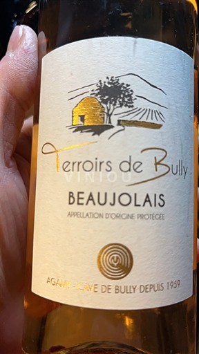 Beaujolais Cave de Bully Terroirs de Bully Não Sazonado