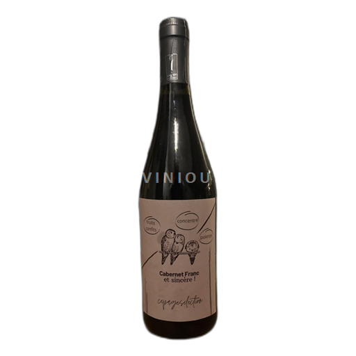 Dolina Loare Domaine delaunay 2019