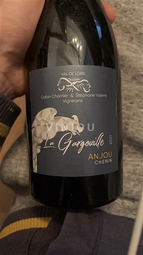 Loire Valley Anjou Gabin Chanin et Stéphane Valenis La Gargouille 2021