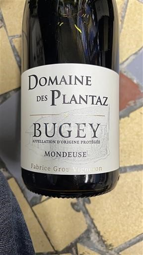 Savoyen und Bugey Bugey Domaine S Plantaz Mondeuse 2023