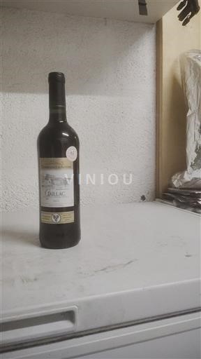 Jihozápad Gaillac Domaine Moulin 2022