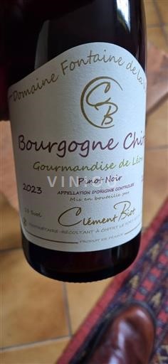 Borgogna Borgogna Chitry Domaine Fontaine de Léon Gourmandise de Léon 2023