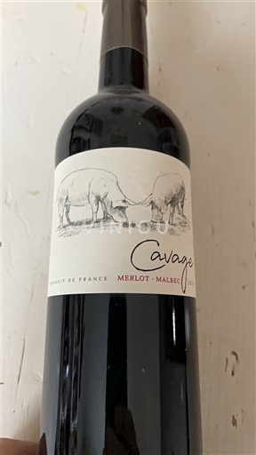 Sud-Ouest Côtes du Lot Cavage 2019