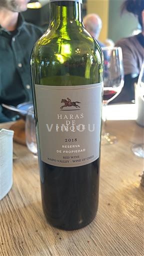 Maipo-vallei Maipo Alto Haras de Pirque Reserva de Propiedad 2018