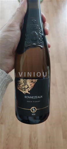 Vallée de la Loire Bonnezeaux Domaine Haut mont robin pichery 2022