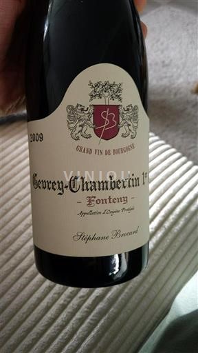 Bourgogne Gevrey-chambertin Premier Cru Stéphane Brocard Fonteny 2009