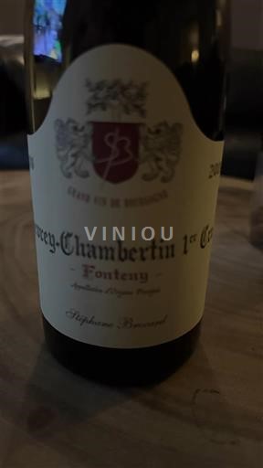 Бургундія Gevrey-Chambertin Premier Cru Stéphane Brocard Fonteny 2009