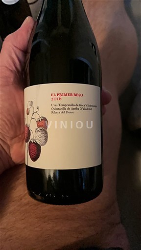 Rượu vang Rouge sec El Primer Beso Finca Valdeguinea 2016 Tây Ban Nha Castille và León Ribera del Duero DO