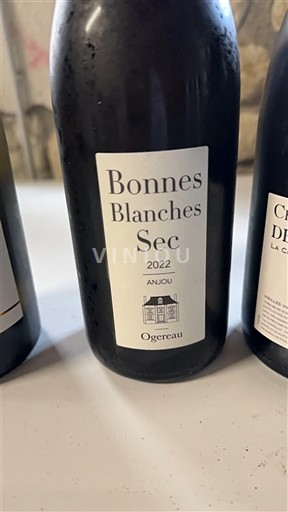Thung lũng sông Loire Anjou Domaine Ogereau Bonnes Blanches Sec 2022