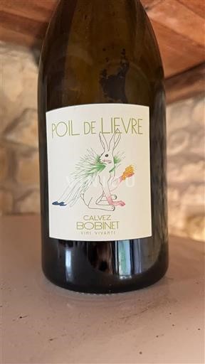 Loire Valley Saumur Calvez Bobinet Poil de Lièvre 2022