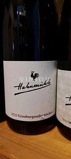 Nahe Hahnmühle Grauburgunder trocken 2022