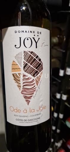 Sud-Ouest Côtes de Gascogne Domaine Joÿ Ode à la Joie Non Millésimé