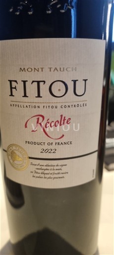 Languedoc Fitou Mont Tauch Récolte 2022
