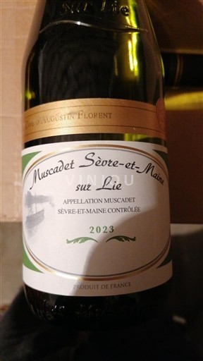 Vallée de la Loire Muscadet-sèvre-et-maine Augustin Florent 2023