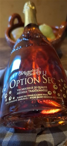 Sydvestfrankrig Ikke specificeret Vignobles Laurent Option Sec Ikke årgangsbestemt