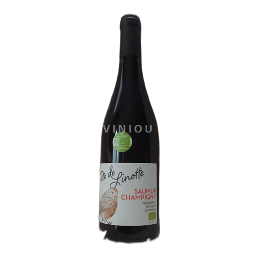 Thung lũng sông Loire Saumur-champigny Albert Besombes 2023