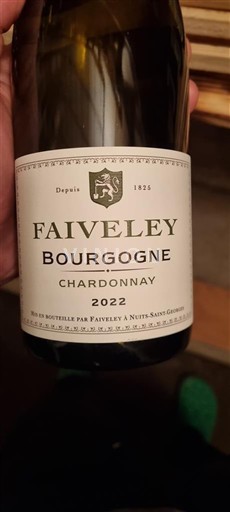 Borgogna Domaine Faiveley 2022