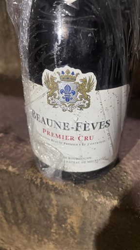 Bourgogne Beaune Premier Cru Château Beaune Beaune-Fèves 2020