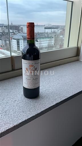 Vin Rouge sec Château Saint-Julien 2013 France Bordeaux Saint-Julien AOC