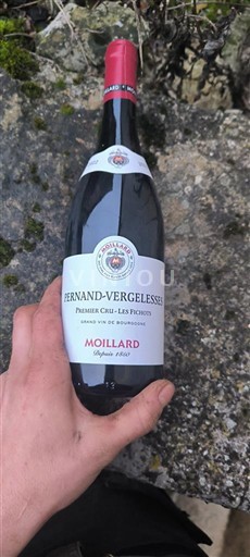 Bourgogne Pernand-vergelesses Premier Cru Moillard Les Fichots 2022