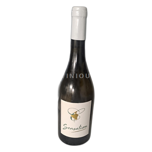 Beaujolais Beaujolais Villages La Cave de Clochemerle 2021