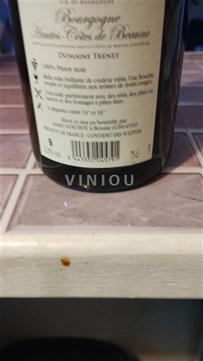 Borgonha Não especificado Domaine Treint Não Sazonado