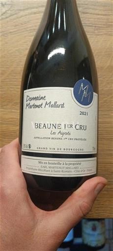 Borgonha Não especificado Premier Cru Domaine Martronet Mallard Les Aigrots 2021