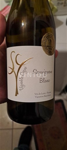 Loiren laakso Vignoble Cogné 2024