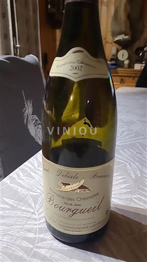 Dolina Loare Bourgueil Delasle Boucard des Chesnaies 2002
