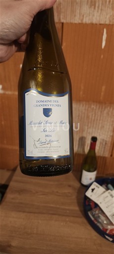 Vallée de la Loire Muscadet-sèvre-et-maine Domaine S Grandes Vignes Sur Lie 2024