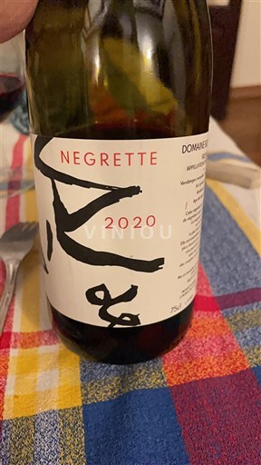 Південний Захід Фронтон Domaine Le Roc Négrette 2020