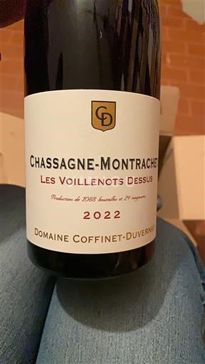 Burgundija Chassagne-Montrachet Domaine Coffinet-Duvernay Les Voillenots Dessus 2022