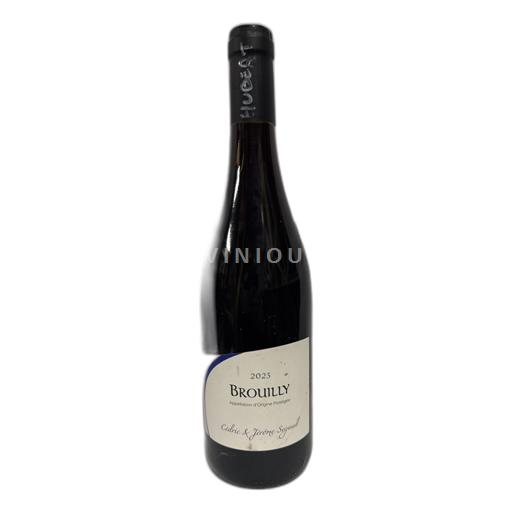 Beaujolais Brouilly Cédric et Jerome Segaud 2023