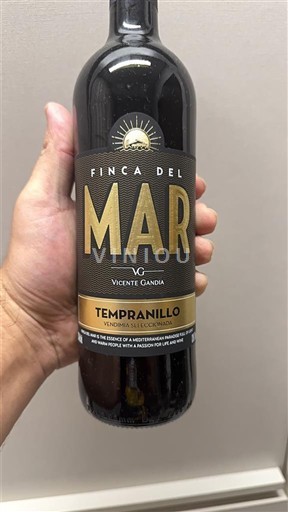 Valencian yhteisö Valencia Vicente Gandia Tempranillo 2020