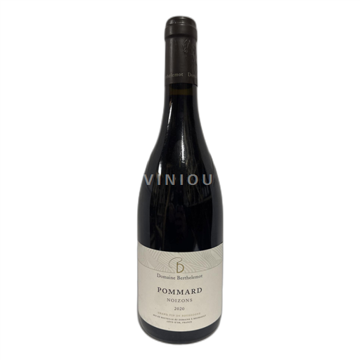 Burgund Pommard Domaine Berthelemot Noizons 2020