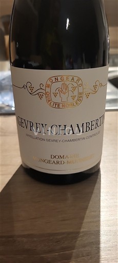 Bourgogne Gevrey-chambertin Domaine Mongeard-Mugneret 2022