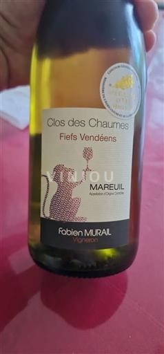 Vine Blanc sec Clos des Chaumes Fabien MURAL Non millésimé Frankrig Loire-dalen Fiefs Vendéens AOC