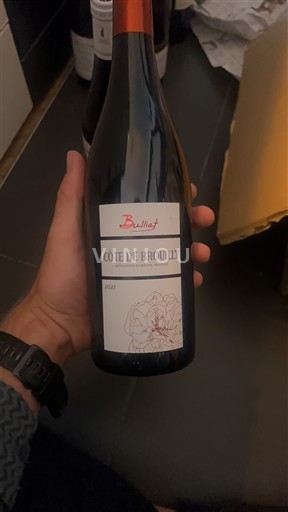 Beaujolais Côte-de-brouilly Bulliat 2022
