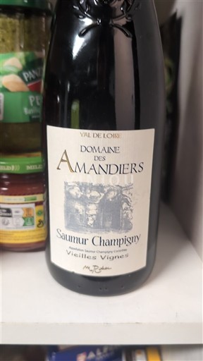 Valle della Loira Saumur-Champigny Domaine S Amandiers Vieilles Vignes 2016