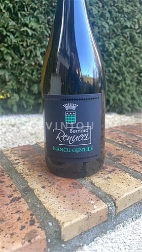 Corsica Calvi Bernard Renucci Biancu Gentile Niet-geïntegreerd