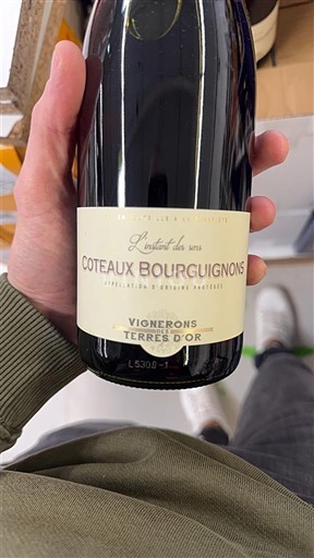 Bourgogne Coteaux bourguignons Vignerons Terres d'Or L'Instant des Amis 2023