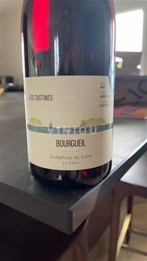 Loire-dalen Bourgueil FX Barc Les Castines Ikke årgangsbestemt