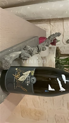 Savoie og Bugey Seyssel Maison Gallice Sensation 2023